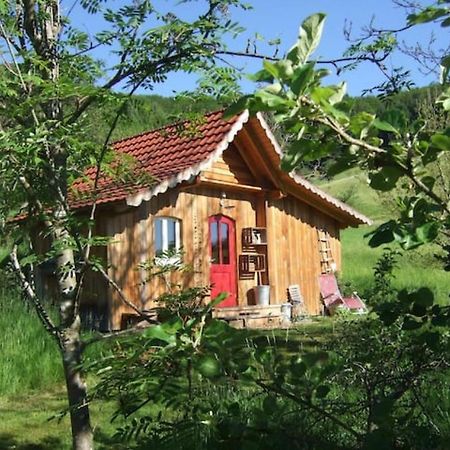 Sonniges-Naturnahes-Schwarzwald-Ferienhaeuschen Welschensteinach Exteriör bild