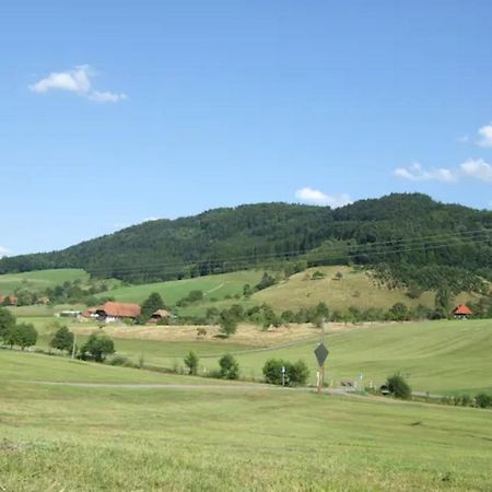 Sonniges-Naturnahes-Schwarzwald-Ferienhaeuschen Welschensteinach Exteriör bild