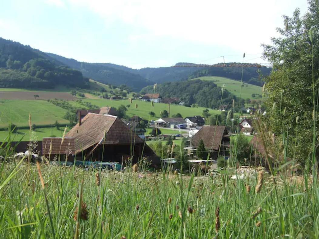 Sonniges-Naturnahes-Schwarzwald-Ferienhaeuschen Welschensteinach Exteriör bild
