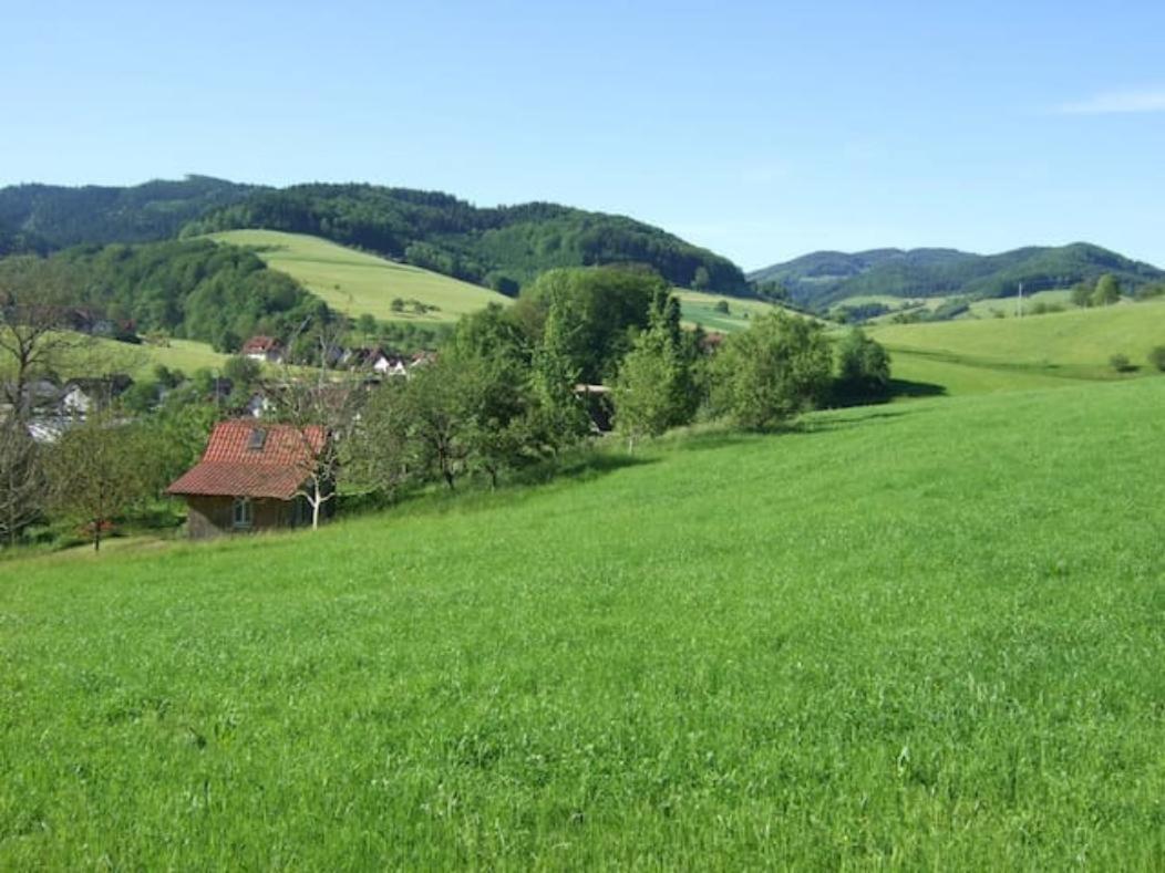 Sonniges-Naturnahes-Schwarzwald-Ferienhaeuschen Welschensteinach Exteriör bild